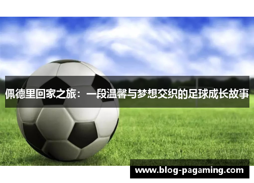 佩德里回家之旅:一段温馨与梦想交织的足球成长故事 佩德里回家之旅:一段温馨与梦想交织的足球成长故事