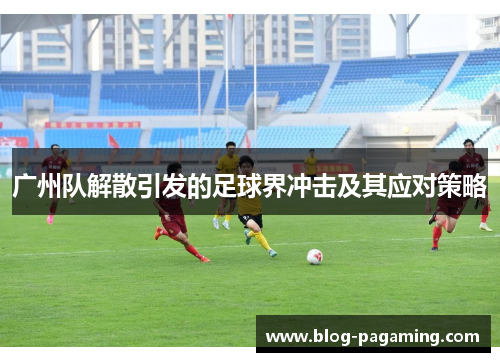 广州队解散引发的足球界冲击及其应对策略