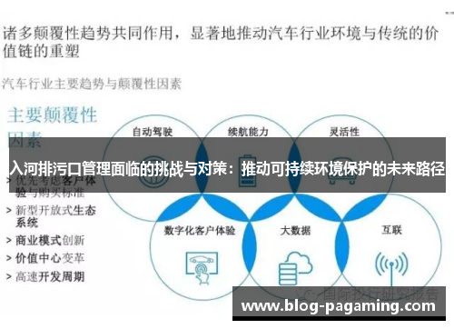 入河排污口管理面临的挑战与对策：推动可持续环境保护的未来路径