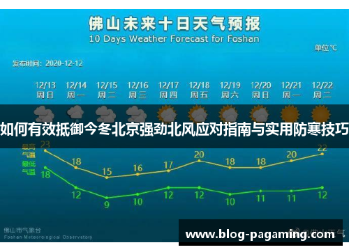 如何有效抵御今冬北京强劲北风应对指南与实用防寒技巧 如何有效抵御今冬北京强劲北风应对指南与实用防寒技巧