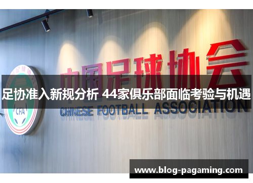 足协准入新规分析 44家俱乐部面临考验与机遇