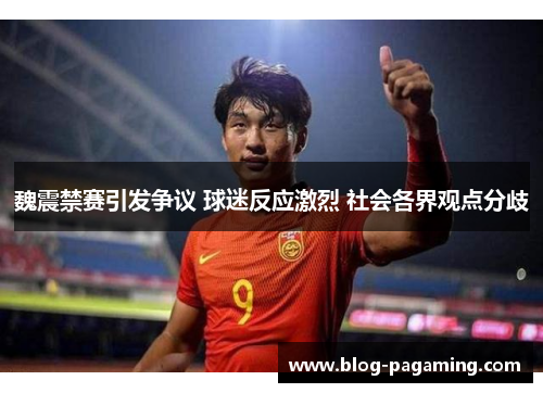 魏震禁赛引发争议 球迷反应激烈 社会各界观点分歧
