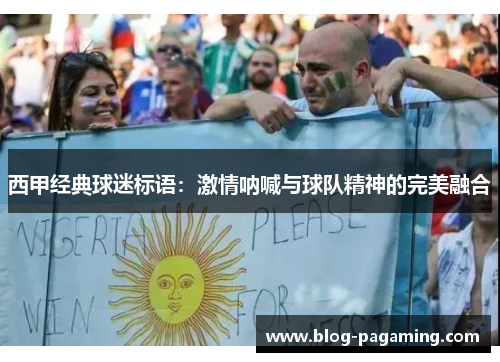 西甲经典球迷标语：激情呐喊与球队精神的完美融合